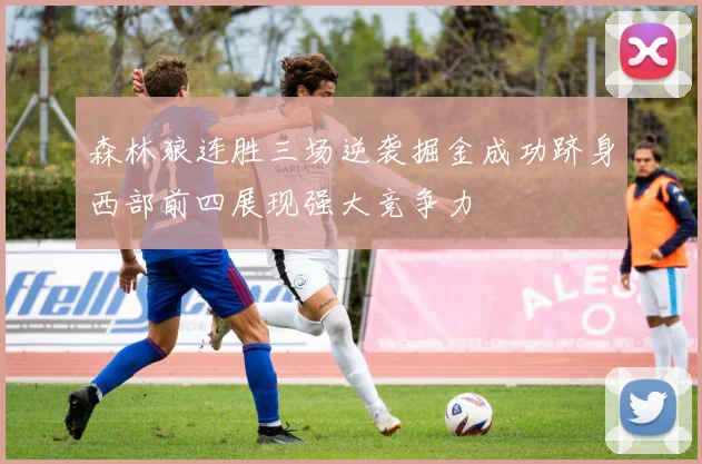 森林狼连胜三场逆袭掘金成功跻身西部前四展现强大竞争力