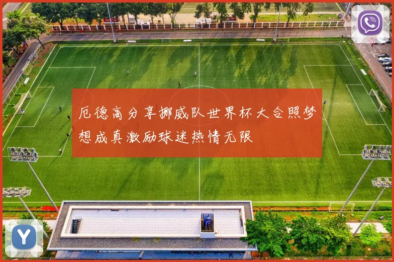 厄德高分享挪威队世界杯大合照梦想成真激励球迷热情无限