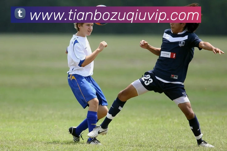 天博体育平台生态图