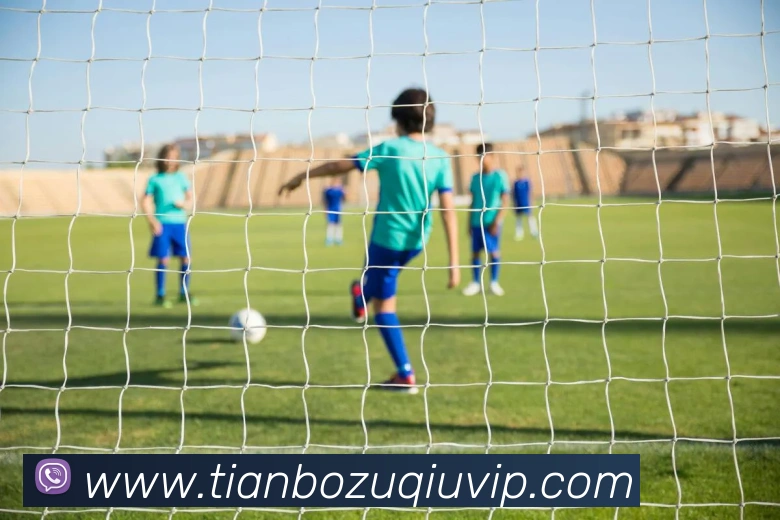 天博体育APP 封面图